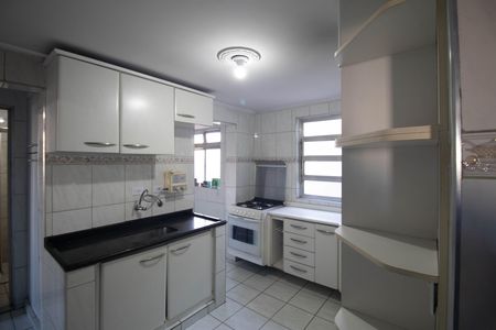 Apartamento à venda com 57m², 2 quartos e 1 vagaCozinha - Armários