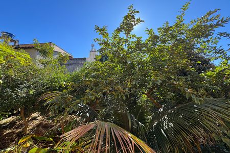 Casa à venda com 700m², 5 quartos e 2 vagasVista - Sala 
