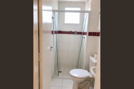 Banheiro de apartamento para alugar com 2 quartos, 49m² em São Domingos, São Paulo
