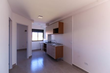 Sala/Cozinha de apartamento para alugar com 2 quartos, 40m² em Vila Canero, São Paulo