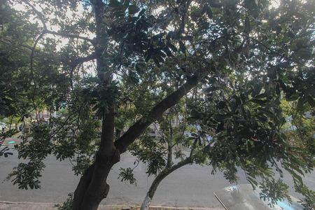Apartamento para alugar com 56m², 2 quartos e sem vagaVista