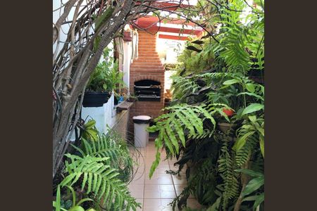 Casa à venda com 218m², 3 quartos e 6 vagas