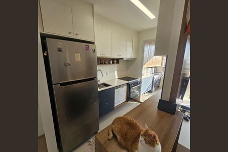 Apartamento à venda com 2 quartos, 54m² em Mooca, São Paulo