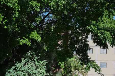 Apartamento para alugar com 54m², 2 quartos e 1 vagaVista