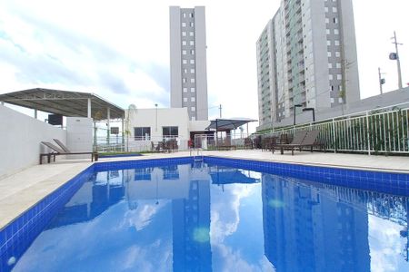 Área comum - Piscina de apartamento à venda com 2 quartos, 65m² em Vila Palacios, Campinas