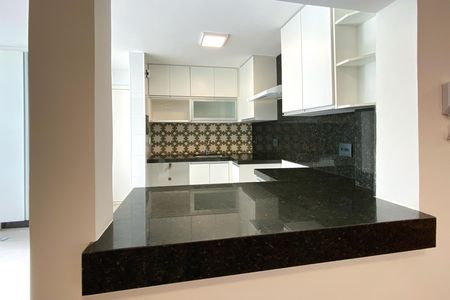 Apartamento para alugar com 100m², 3 quartos e 2 vagas Apartamento para alugar com 100m², 3 quartos e 2 vagasCozinha - Bancada
