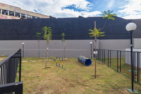 Apartamento para alugar com 56m², 3 quartos e 1 vaga Apartamento para alugar com 56m², 3 quartos e 1 vagaEspaço Pet