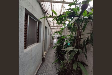Casa à venda com 320m², 5 quartos e 2 vagas
