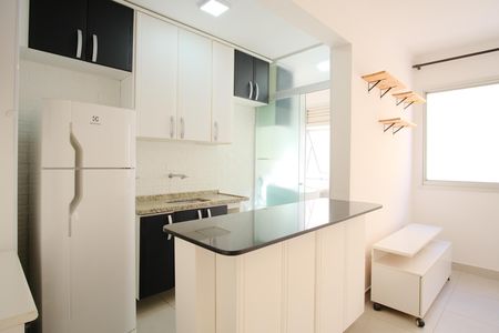 Apartamento para alugar com 44m², 2 quartos e 1 vagaCozinha