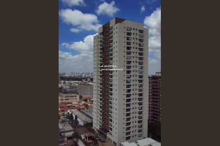 Apartamento à venda com 3 quartos, 77m² em Vila Maria, São Paulo