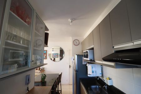 Cozinha  de apartamento para alugar com 2 quartos, 47m² em Vila Virginia, Ribeirão Preto