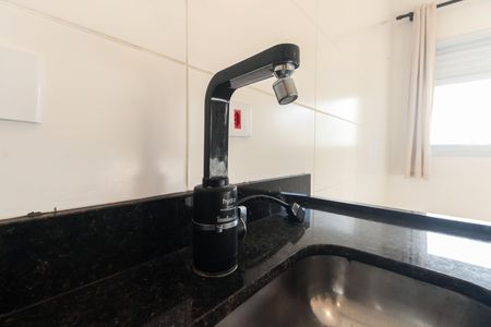 Cozinha de apartamento para alugar com 2 quartos, 48m² em Vila Gomes Cardim, São Paulo