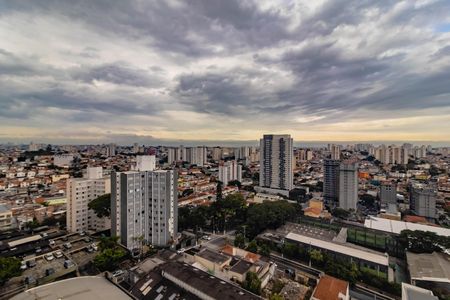 Apartamento à venda com 2 quartos, 64m² em Vila Santa Catarina, São Paulo