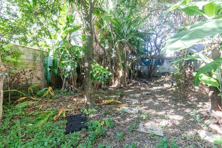 Casa à venda com 500m², 2 quartos e 5 vagas Casa à venda com 500m², 2 quartos e 5 vagasQuintal