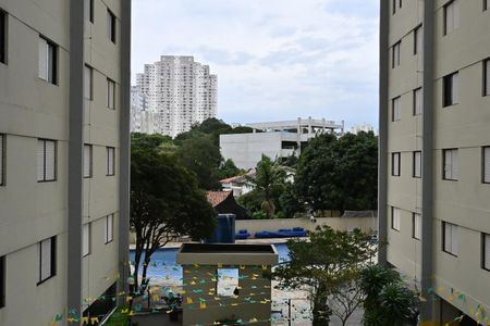 Apartamento para alugar com 67m², 3 quartos e 1 vagaVista da Suíte
