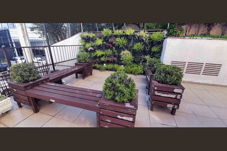 Apartamento para alugar com 69m², 3 quartos e 2 vagas Apartamento para alugar com 69m², 3 quartos e 2 vagasÁrea Verde