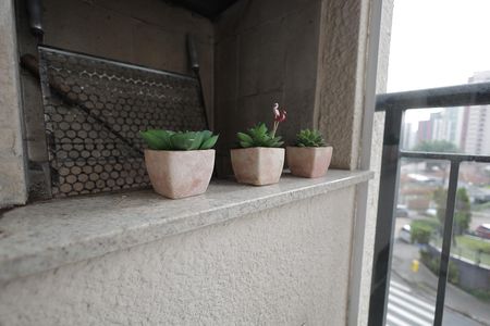 Sacada Gourmet de apartamento à venda com 3 quartos, 118m² em Vila Bastos, Santo André