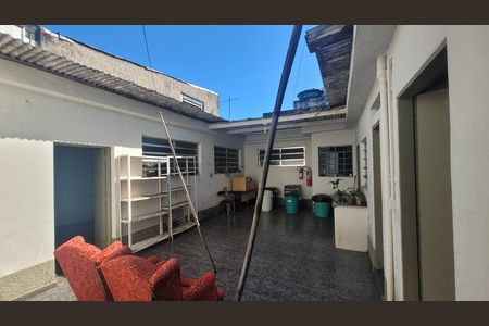 Casa para alugar com 400m², 7 quartos e 8 vagasQuintal