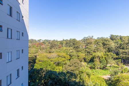 Vista da Varanda da Sala de apartamento para alugar com 2 quartos, 48m² em Chácara Granja Velha, Cotia