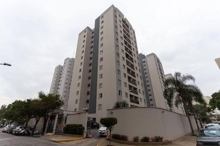 Apartamento à venda com 65m², 3 quartos e 1 vaga