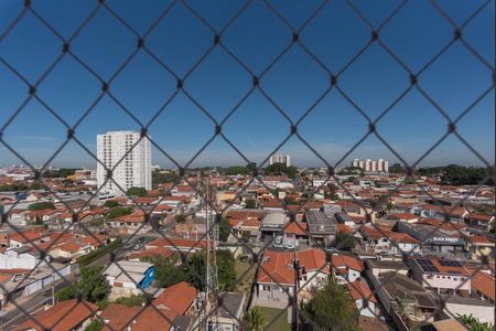 Vista da Sala de apartamento para alugar com 2 quartos, 43m² em Parque Industrial, Campinas