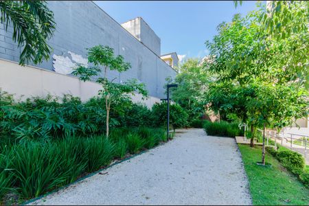 Área comum de apartamento para alugar com 1 quarto, 45m² em Cambuci, São Paulo