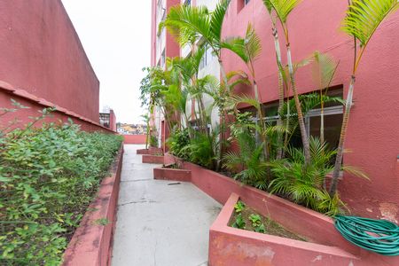 Área comum de apartamento à venda com 2 quartos, 49m² em Cidade Ademar, São Paulo