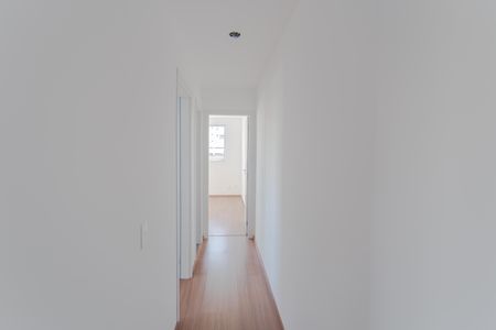 Corredor de apartamento para alugar com 2 quartos, 54m² em Nova Vista, Belo Horizonte