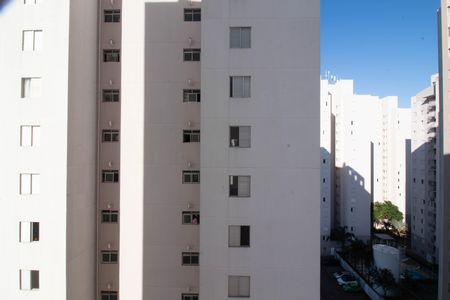 Apartamento para alugar com 64m², 3 quartos e 1 vaga Apartamento para alugar com 64m², 3 quartos e 1 vagaVista - Quarto 2