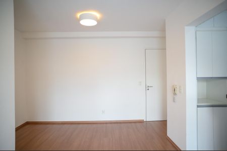 Sala de apartamento para alugar com 2 quartos, 53m² em Vila Gumercindo, São Paulo