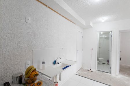 Apartamento para alugar com 33m², 2 quartos e sem vagaCozinha  / Tanque 