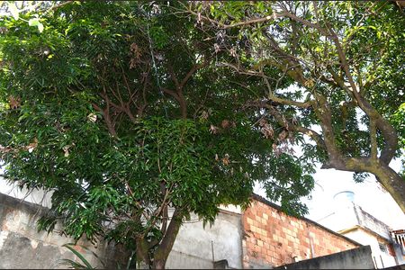 Casa para alugar com 100m², 3 quartos e 2 vagasQuintal