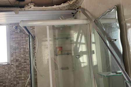 Apartamento para alugar com 49m², 2 quartos e sem vagaBanheiro