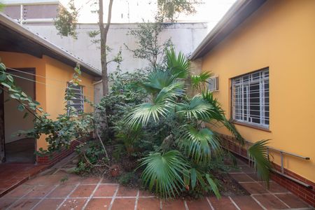 Casa para alugar com 200m², 2 quartos e 1 vagaQuintal
