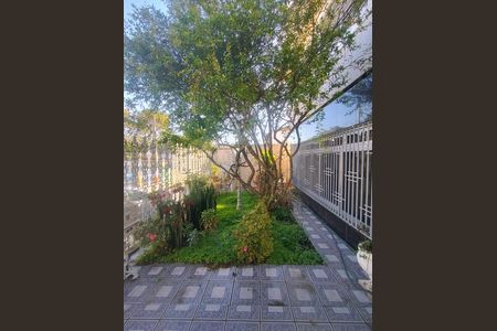 Quintal de casa à venda com 3 quartos, 250m² em Parque Sao Pedro, São Bernardo do Campo