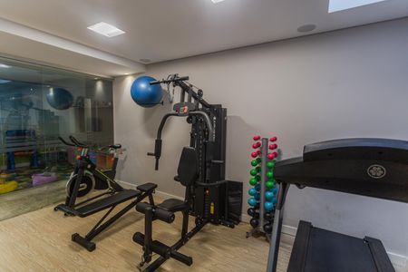 Apartamento à venda com 384m², 5 quartos e 4 vagas Apartamento à venda com 384m², 5 quartos e 4 vagasÁrea comum - Academia