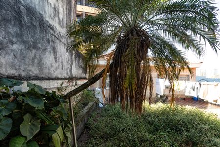Casa para alugar com 319m², 4 quartos e 2 vagasQuarto 2