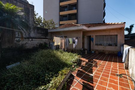 Casa para alugar com 319m², 4 quartos e 2 vagasQuintal