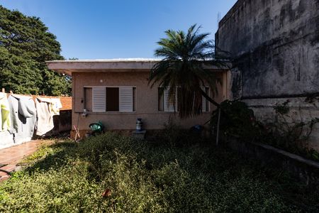 Casa para alugar com 319m², 4 quartos e 2 vagasQuintal
