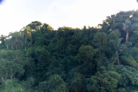 Vista da Sala de apartamento à venda com 2 quartos, 80m² em Santa Rosa, Niterói