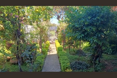 Área externa de casa à venda com 3 quartos, 137m² em Jardim Carlos Lourenço, Campinas