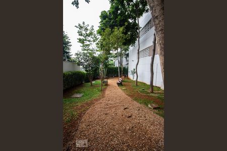 Apartamento para alugar com 65m², 2 quartos e 1 vaga Apartamento para alugar com 65m², 2 quartos e 1 vagaÁrea Comum - Pet Place