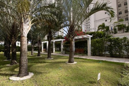 Apartamento para alugar com 70m², 3 quartos e 1 vaga Apartamento para alugar com 70m², 3 quartos e 1 vagaÁrea comum