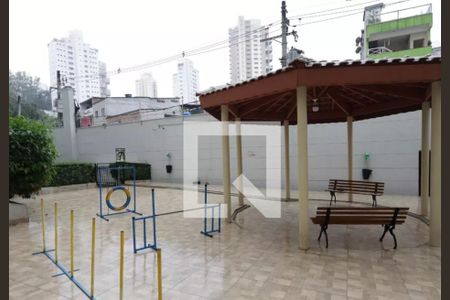 Apartamento para alugar com 70m², 3 quartos e 1 vaga Apartamento para alugar com 70m², 3 quartos e 1 vagaEspaço pet