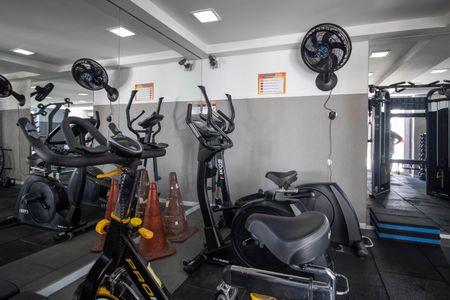 Apartamento para alugar com 70m², 3 quartos e 1 vaga Apartamento para alugar com 70m², 3 quartos e 1 vagaAcademia