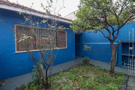 Casa à venda com 175m², 2 quartos e sem vaga Casa à venda com 175m², 2 quartos e sem vagaJardim