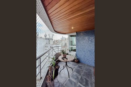 Varanda da Sala de apartamento para alugar com 3 quartos, 237m² em Aclimação, São Paulo