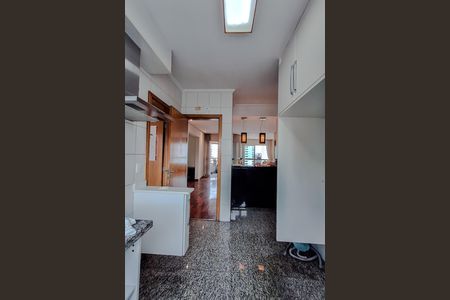 Apartamento para alugar com 237m², 3 quartos e 3 vagasCozinha