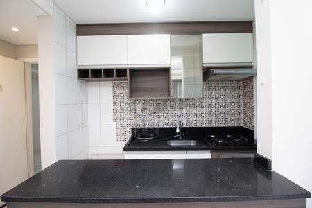 Apartamento para alugar com 54m², 2 quartos e 1 vagaCozinha - Armários