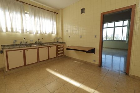 Apartamento à venda com 220m², 4 quartos e 2 vagasCozinha